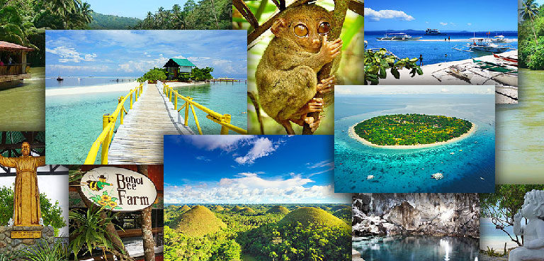 Activities like Sightseeing Tours, Diving or Rentals • Bohol Sunside Resort