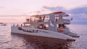 Dreamcat Sunset Tour Panglao