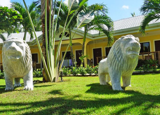 Garden Deluxe Room View