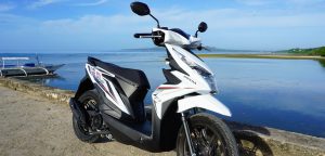 Honda Beat Panglao Bohol Rental