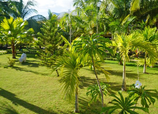 Tropical Garden Bohol Sunside Resort